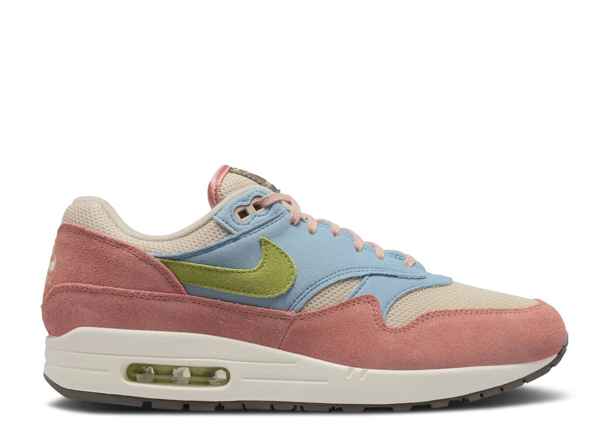 NIKE AIR MAX 1 'LIGHT MADDER ROOT' DV3196-800